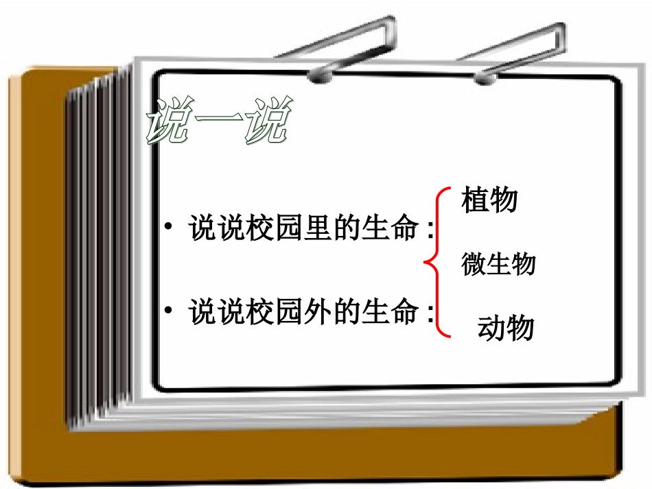 182世界因生命而精彩_第3页