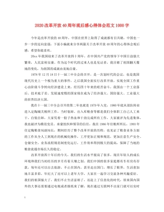 2024改革开放40周年观后感心得体会范文1000字 