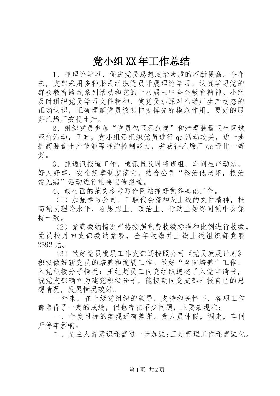 党小组XX年工作总结_第1页