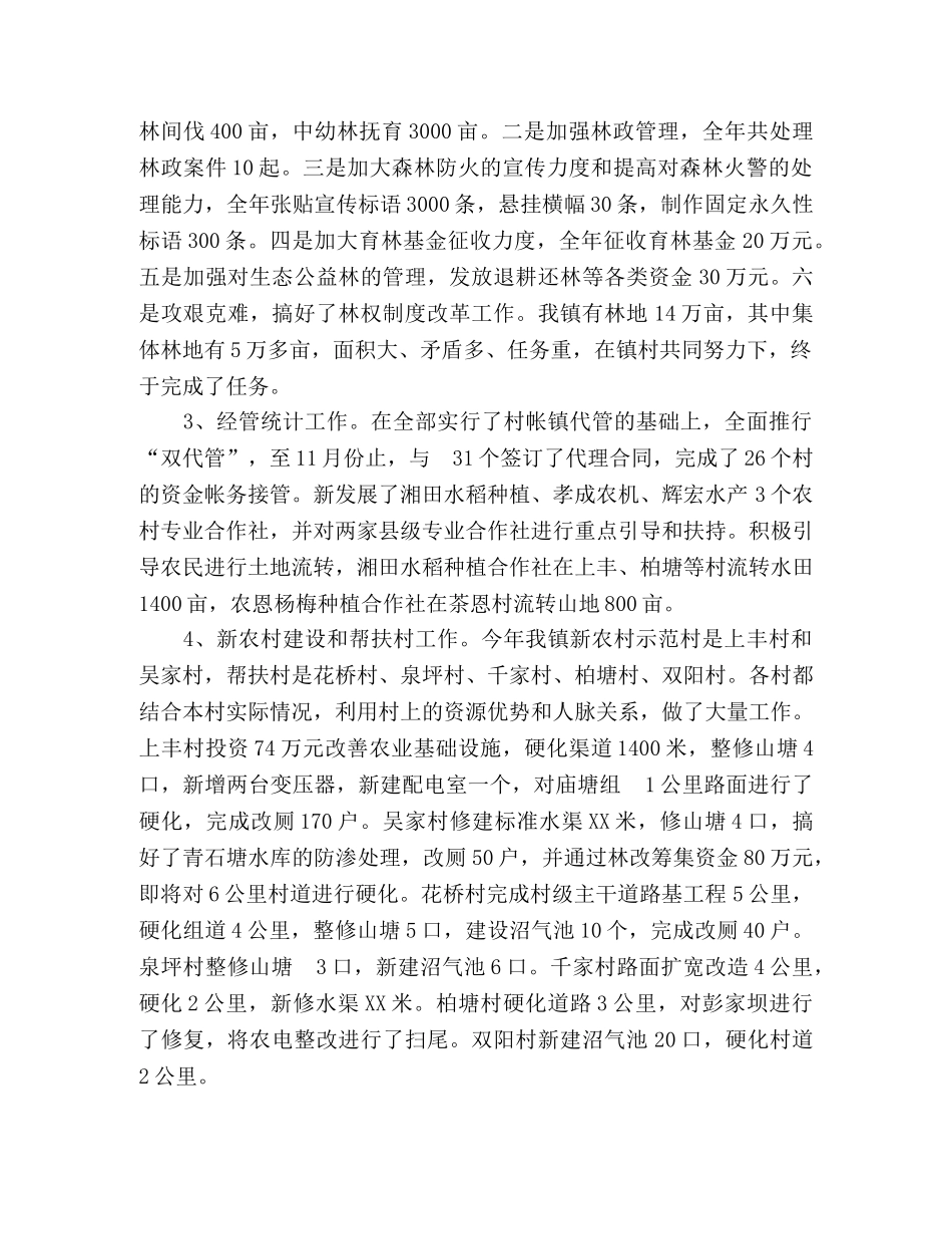 2024年度副镇长述职述廉报告 _第2页