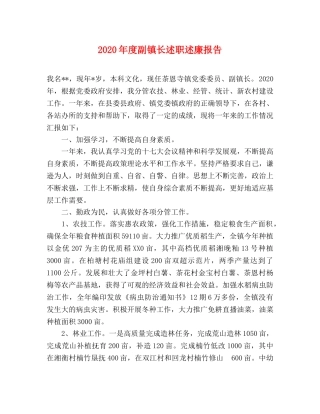 2024年度副镇长述职述廉报告 