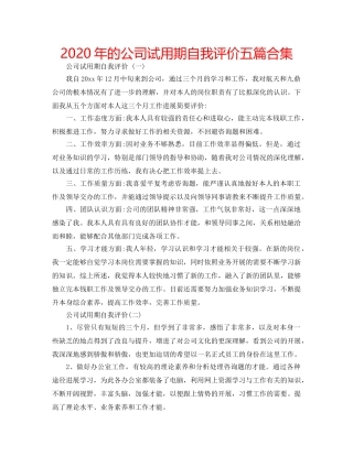 2024年的公司试用期自我评价五篇合集 