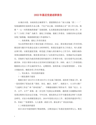 20XX年基层党建述职报告 (000001)