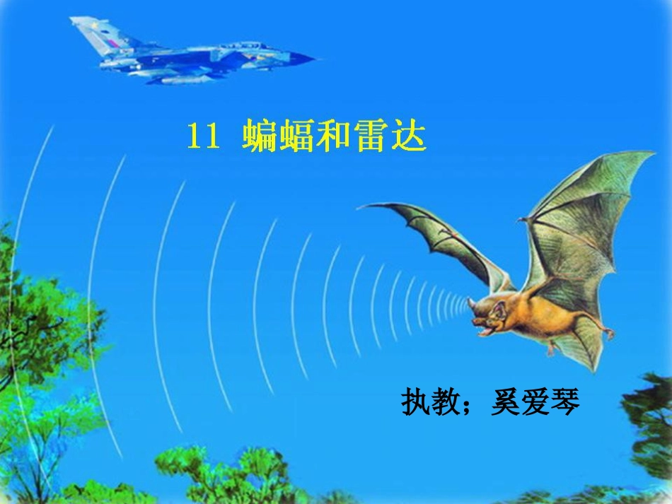 蝙蝠和雷达课件_第1页