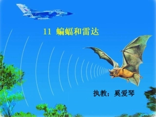 蝙蝠和雷达课件