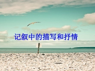 《记叙中的描写和抒情》(2015修改)