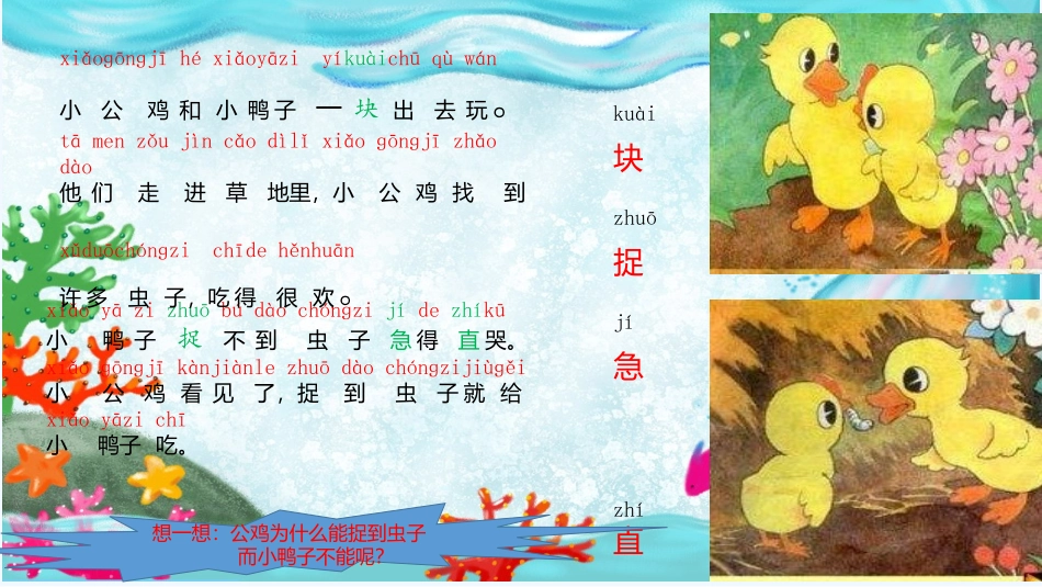 (部编)人教语文2011课标版一年级下册5、《小公鸡和小鸭子》_第2页