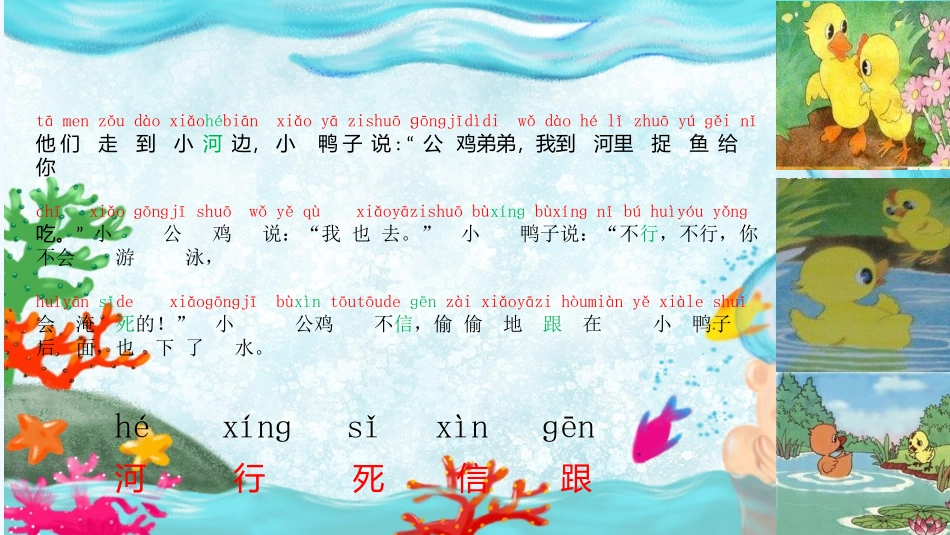 (部编)人教语文2011课标版一年级下册5、《小公鸡和小鸭子》_第3页