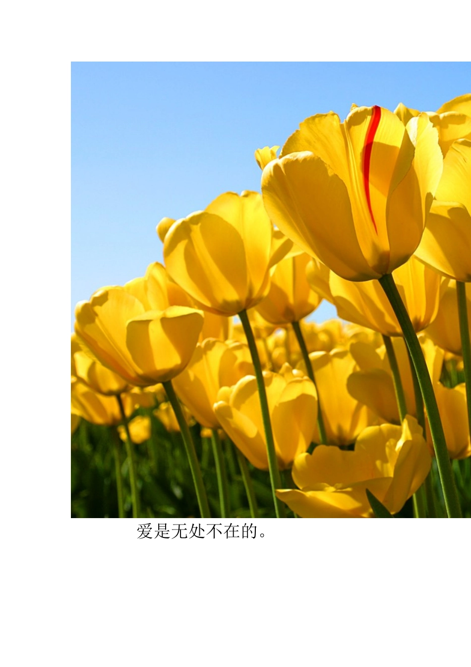 爱的教育读后感_第2页