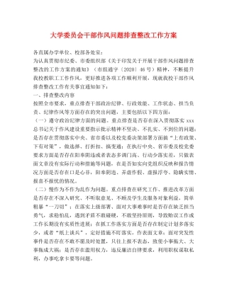 大学委员会干部作风问题排查整改工作方案 