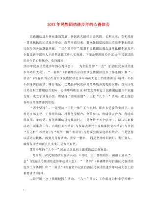 20XX年民族团结进步年的心得体会 