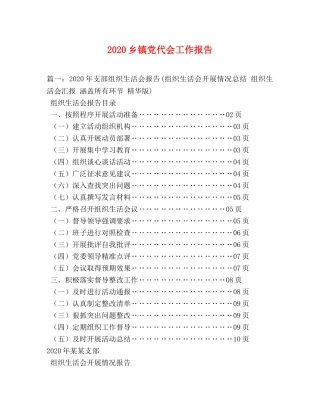 2024乡镇党代会工作报告 
