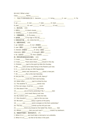 6A-Unit-2-What-a-day-练习卷-王维文