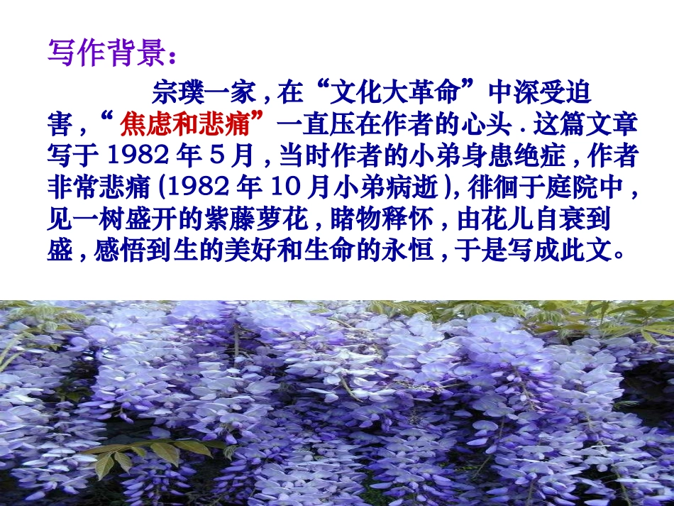 紫藤萝瀑布正式_第3页