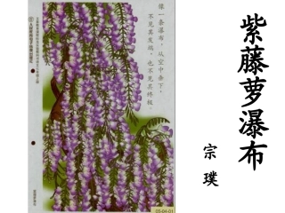 紫藤萝瀑布正式