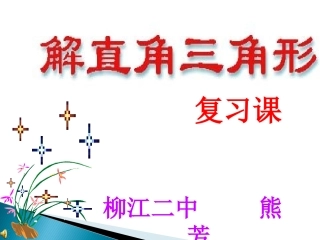 2014中考解直角三角形复习课件ppt.