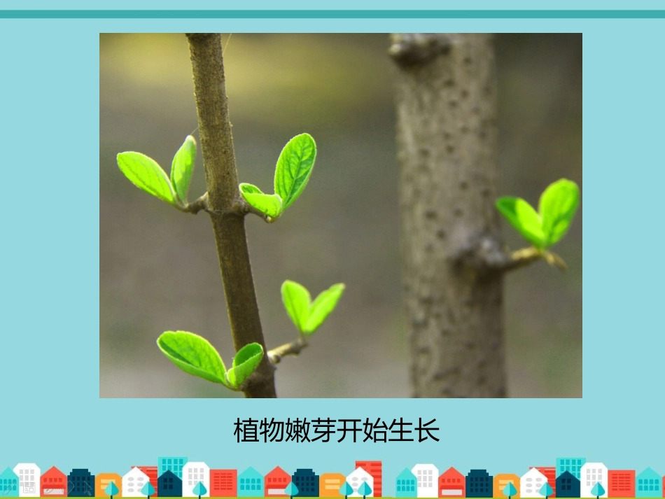 春天给我的印象_第2页