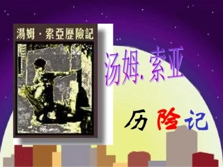 17《汤姆索亚历险记》.