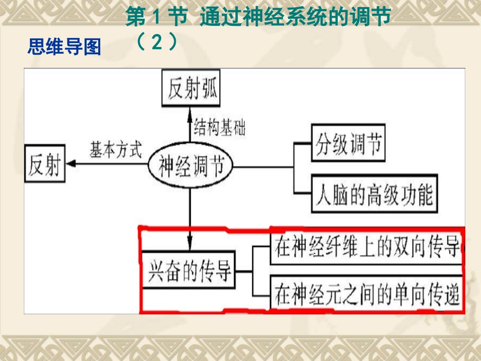 通过神经系统的调节(2)_第2页