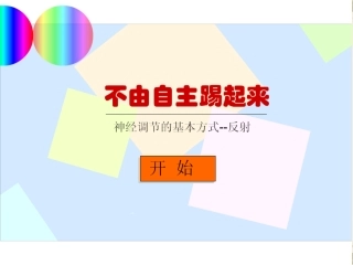 通过神经系统的调节(2)