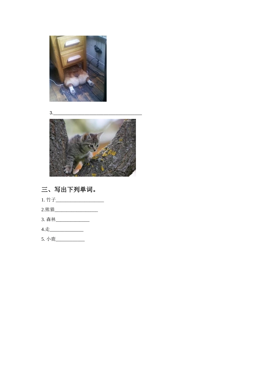 Unit-2-Where-are-they-Lesson-10-习题-2_第2页