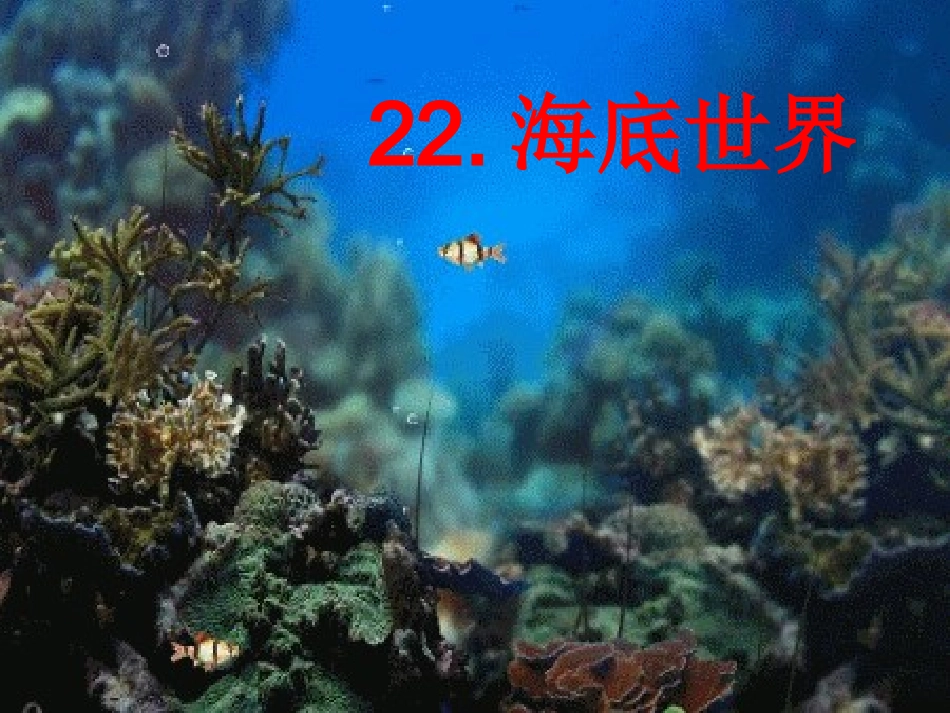《海底世界》1_第1页