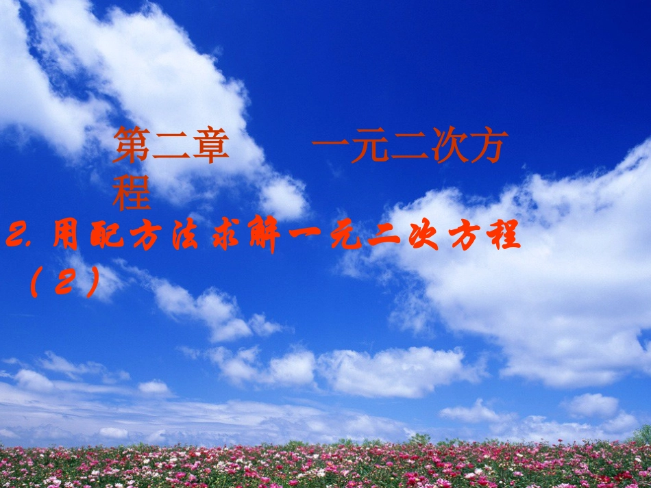 2.用配方法求解一元二次方程(2).2用配方法求解一元二次方程(2)_第1页