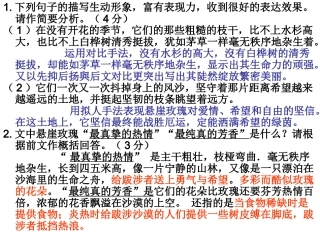 初中语文阅读作文临考讲座