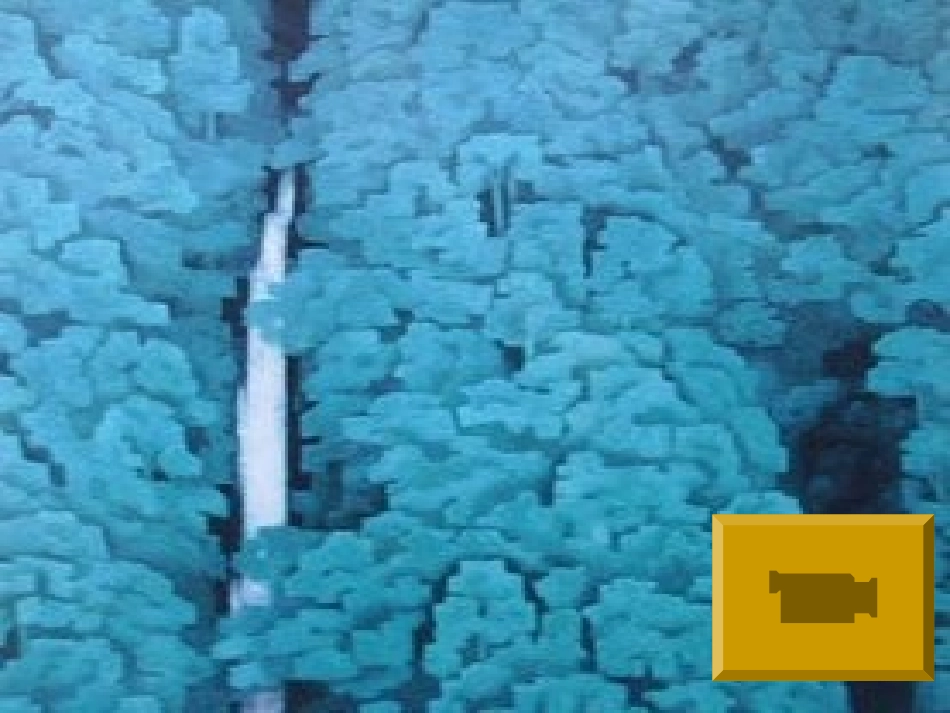 《听泉》课件_第2页