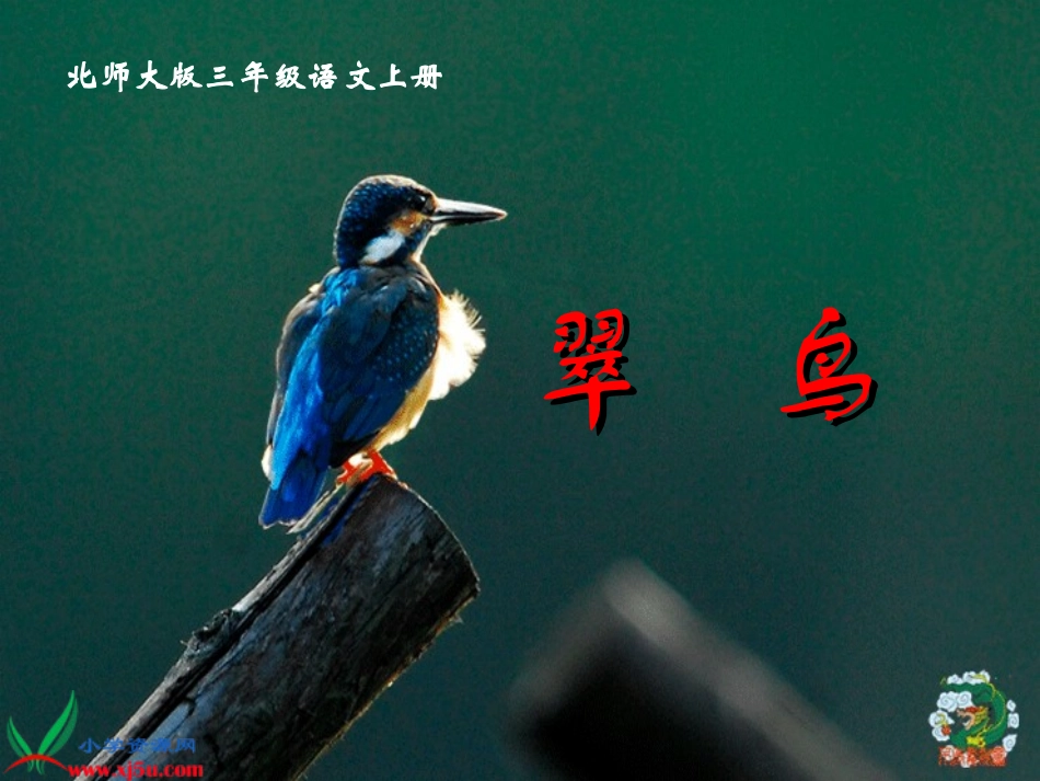 (北师大版)三年级语文上册课件-翠鸟_第1页