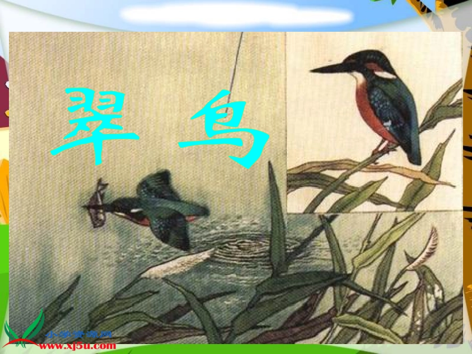 (北师大版)三年级语文上册课件-翠鸟_第3页