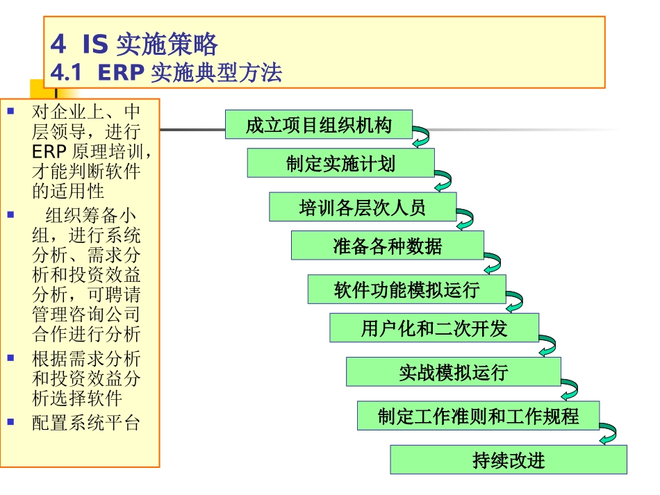 IS实施策略_第1页