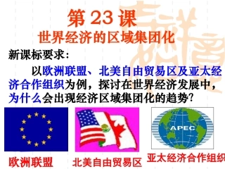 55世界经济的区域集团化