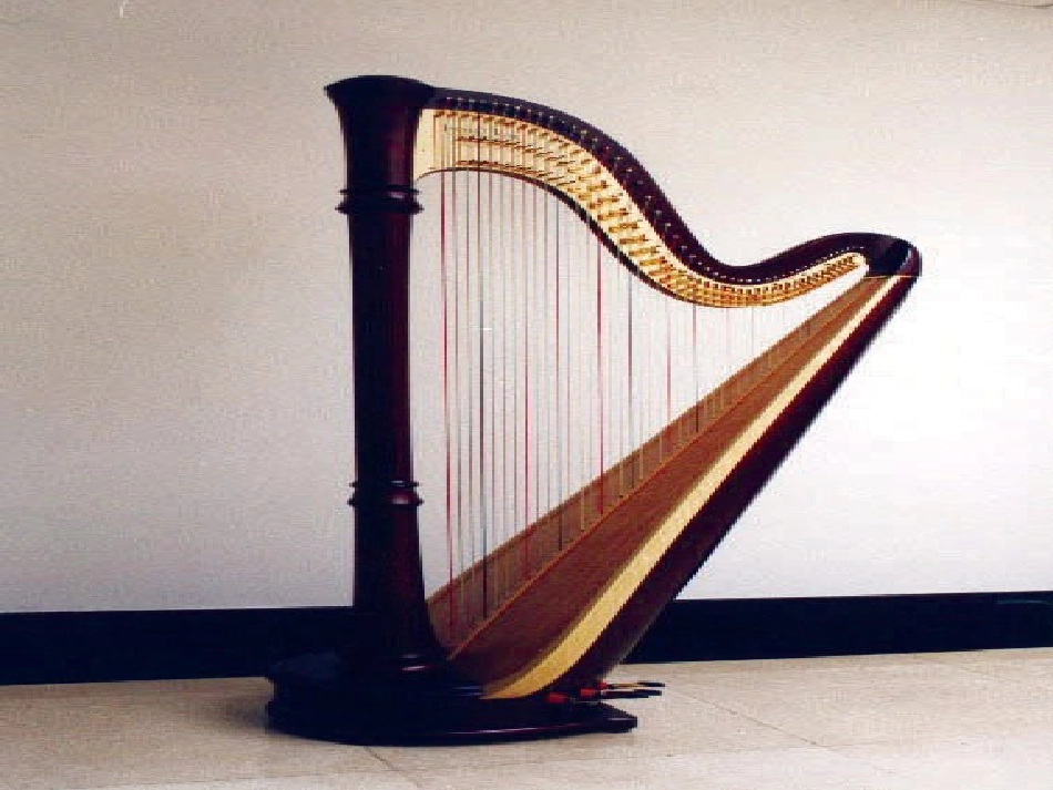 4.1线段、射线、直线_第3页