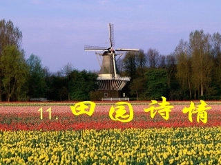 田园诗情课件