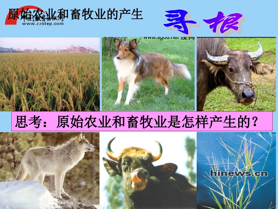 【名师原创】第2课原始的农耕生活课件_第2页