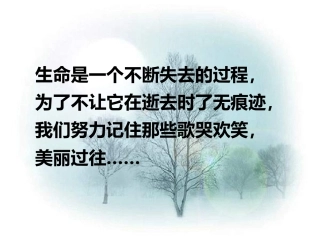 《项脊轩志》公开课