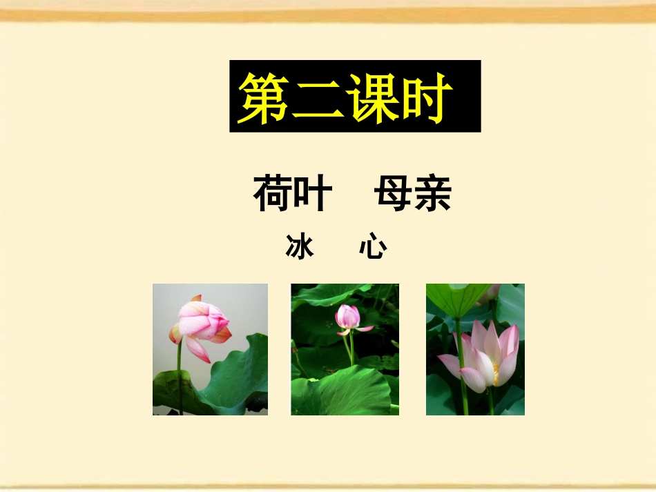 荷叶母亲-课件_第1页