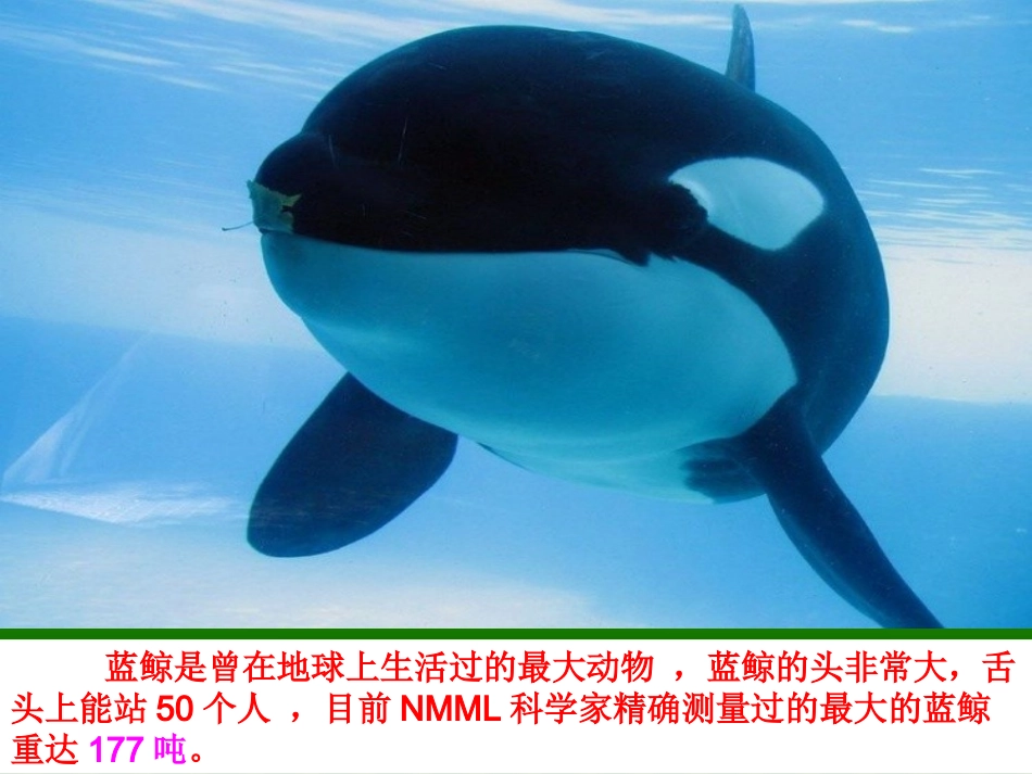 人教2011版小学数学三年级课件-(2)_第3页