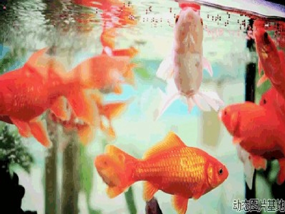 一二〇师田彩萍语言活动设计《从小爱祖国》_第3页