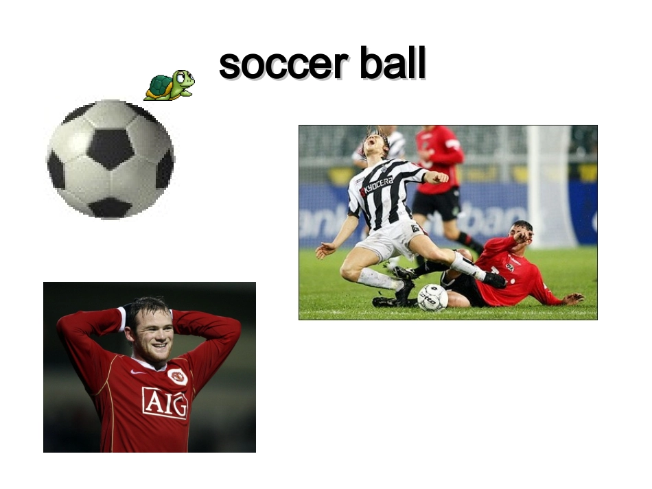 七年级上册Unit5_第3页