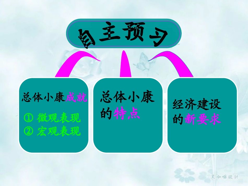 10.1全面建设小康社会的经济目标_第2页