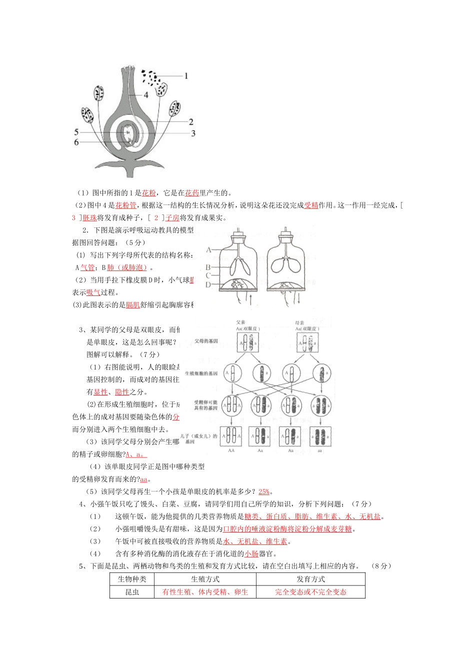 小数除以整数ppt_第3页
