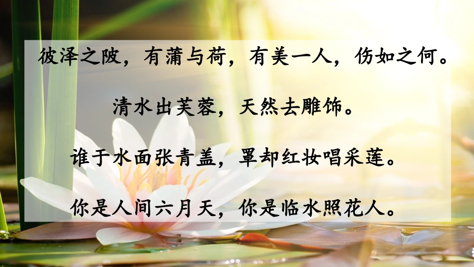 (部编)初中语文人教2011课标版七年级下册《爱莲说》第二课时·课件_第2页