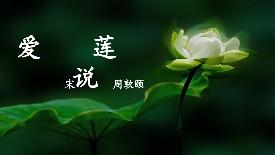 (部编)初中语文人教2011课标版七年级下册《爱莲说》第二课时·课件_第3页