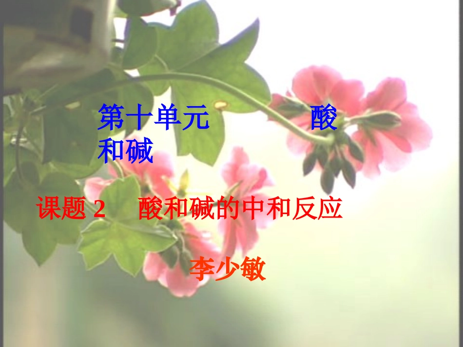 酸和碱发生的中和反应2._第1页