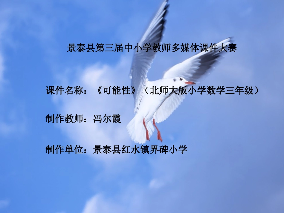 冯尔霞《可能性》课件_第1页