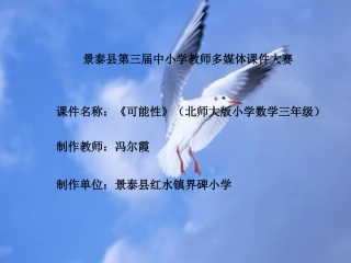 冯尔霞《可能性》课件