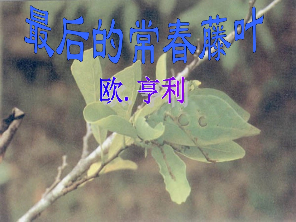 最后的常春藤叶_第1页