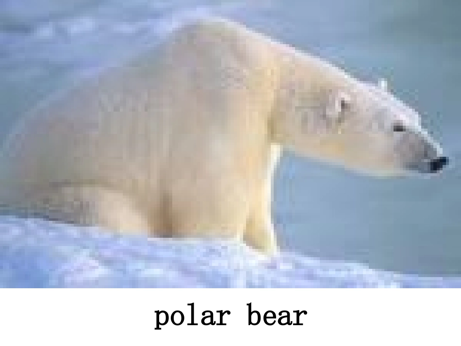 LifeintheArctic_第2页